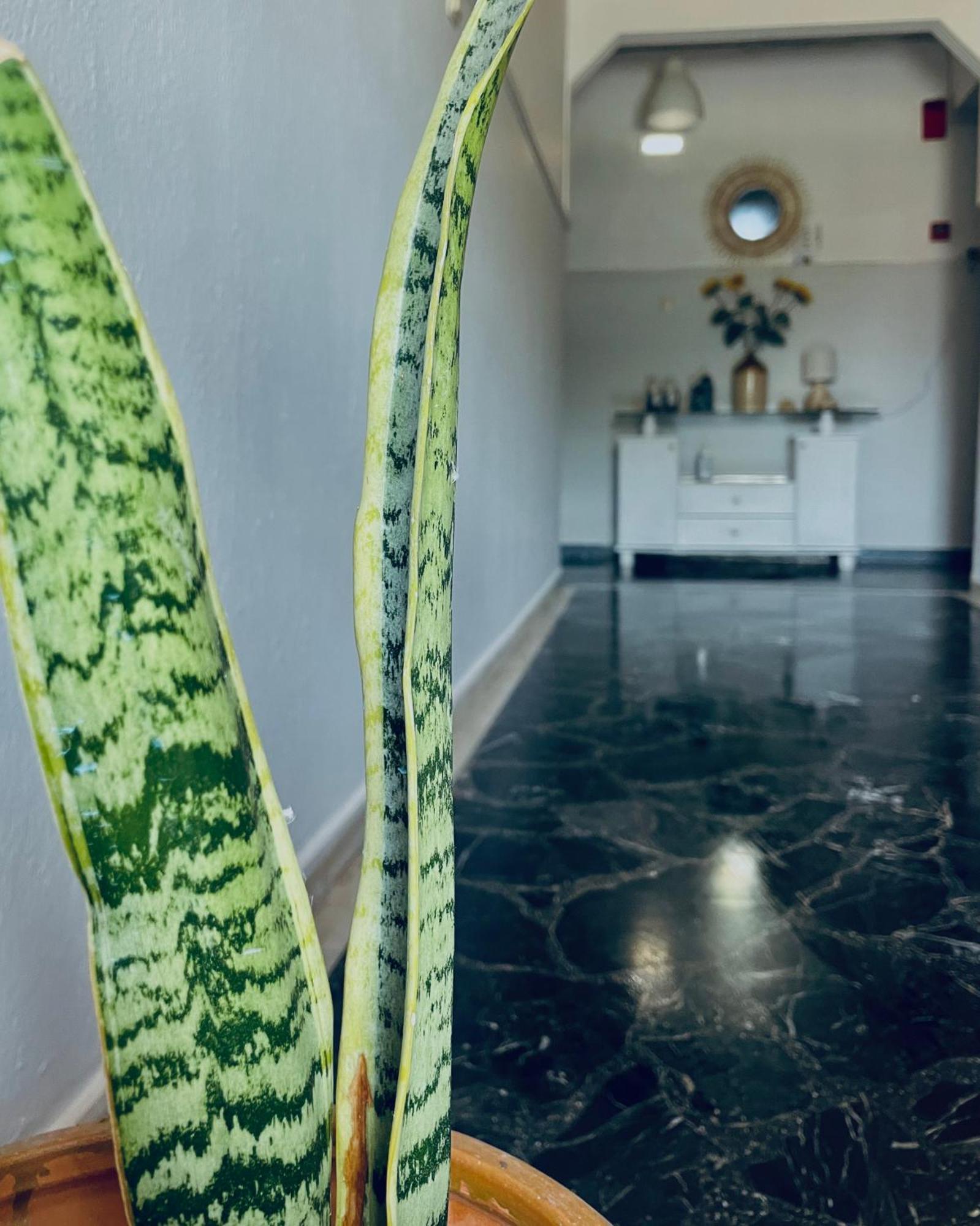 Aktaion Hotel Skala Alykis ภายนอก รูปภาพ