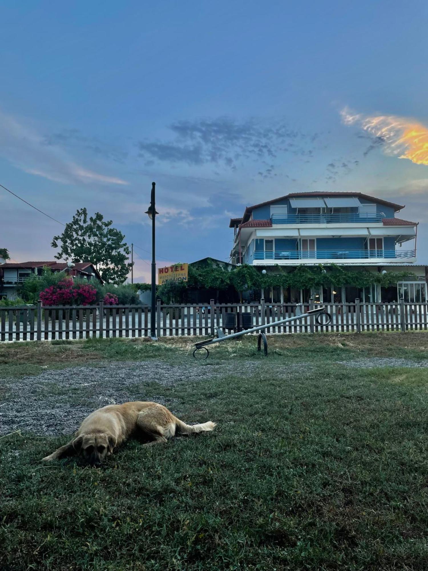 Aktaion Hotel Skala Alykis ภายนอก รูปภาพ