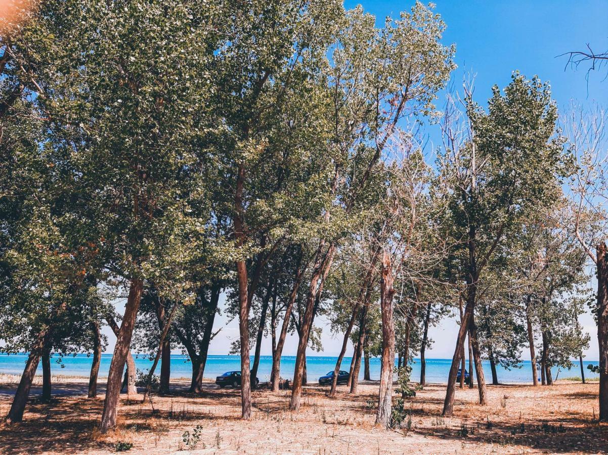 Aktaion Hotel Skala Alykis ภายนอก รูปภาพ