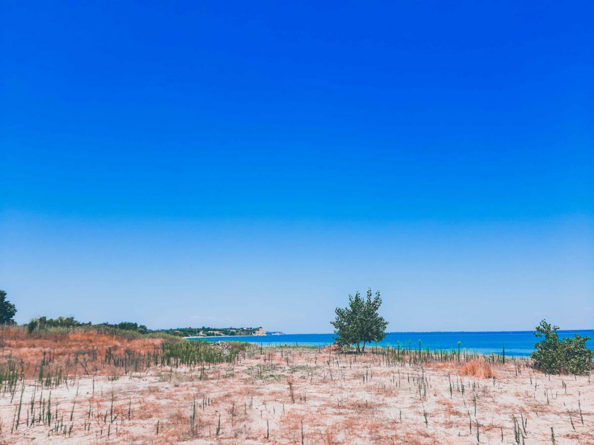 Aktaion Hotel Skala Alykis ภายนอก รูปภาพ